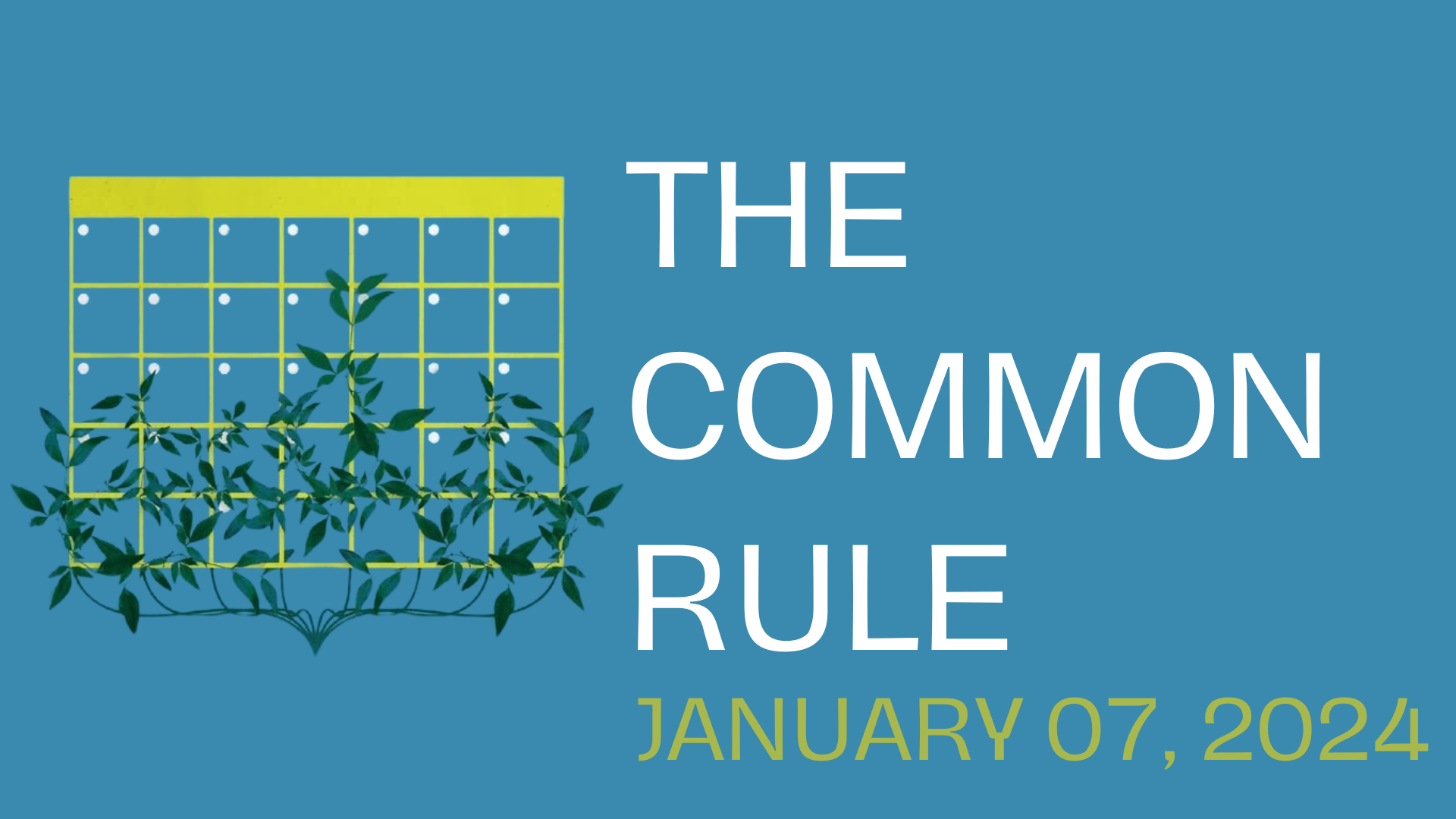 The Common Rule by Missy Grinnell